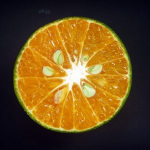 Formation test 1